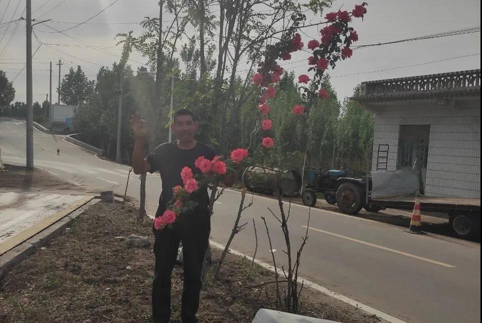 一覽眾山小——中聯(lián)收獲花生撿拾收獲機(jī)靠什么占領(lǐng)用戶心智高地?