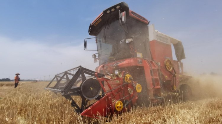 來自90后經(jīng)銷商的認可：從小接觸新疆—2小麥機，對中聯(lián)收獲完全認可(圖3)