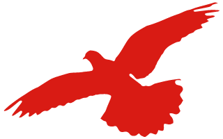 唐山豐南劉賀海:年收入翻兩番 中聯(lián)收獲花生機(jī)帶來意外之喜 唐山豐南劉賀海:年收入翻兩番 中聯(lián)收獲花生機(jī)帶來意外之喜 (圖2)