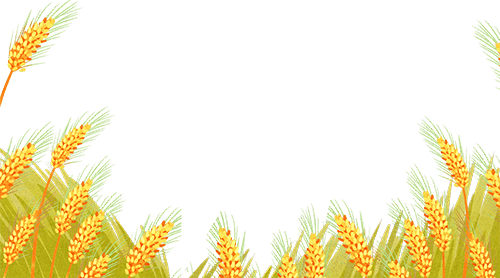 唐山豐南劉賀海:年收入翻兩番 中聯(lián)收獲花生機(jī)帶來意外之喜 唐山豐南劉賀海:年收入翻兩番 中聯(lián)收獲花生機(jī)帶來意外之喜 (圖3)