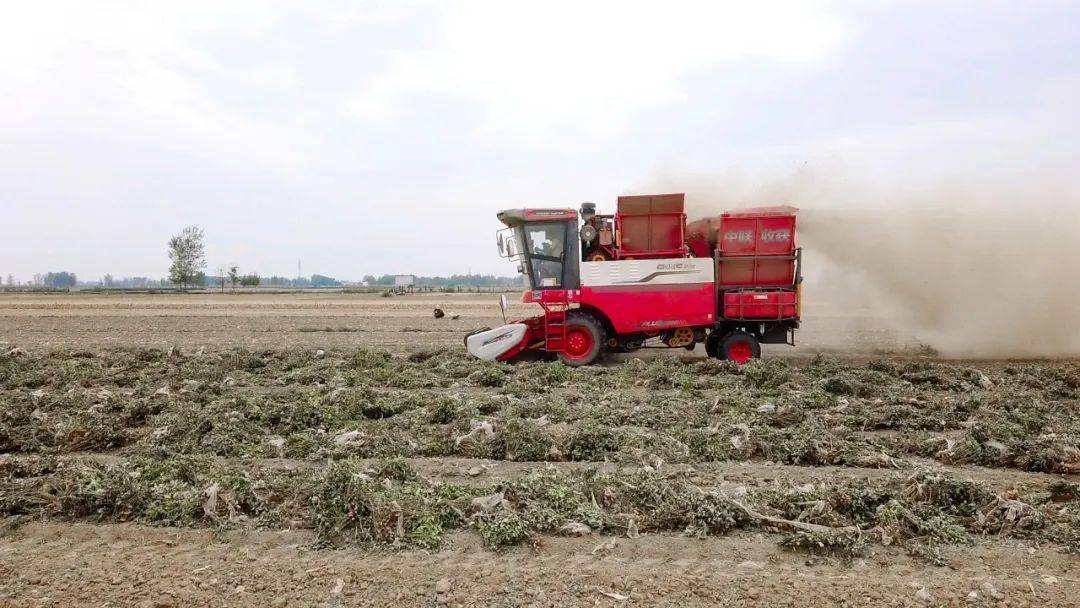 唐山豐南劉賀海:年收入翻兩番 中聯(lián)收獲花生機(jī)帶來意外之喜 唐山豐南劉賀海:年收入翻兩番 中聯(lián)收獲花生機(jī)帶來意外之喜 (圖5)